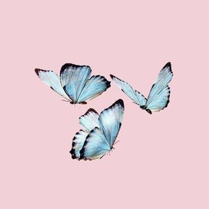 Meet your Posher, Isabel